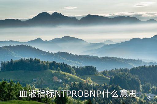 血液指標(biāo)NTPROBNP什么意思