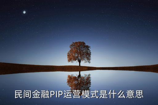 民間金融PIP運營模式是什么意思