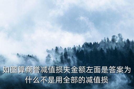 如圖算商譽(yù)減值損失金額左面是答案為什么不是用全部的減值損