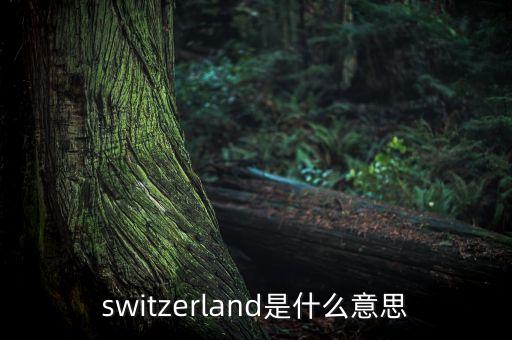 什么是瑞士模式，switzerland是什么意思