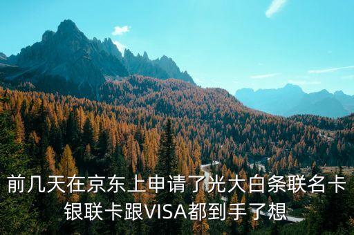 前幾天在京東上申請了光大白條聯(lián)名卡銀聯(lián)卡跟VISA都到手了想