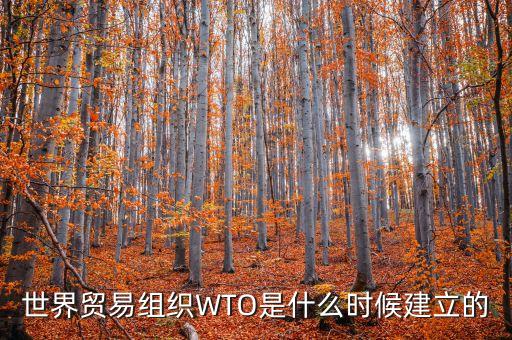 世界貿(mào)易組織WTO是什么時(shí)候建立的