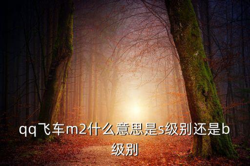 qq飛車m2什么意思是s級(jí)別還是b級(jí)別