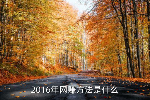 2016年做什么網(wǎng)站掙錢，2016年在網(wǎng)上能找到什么賺錢的生意