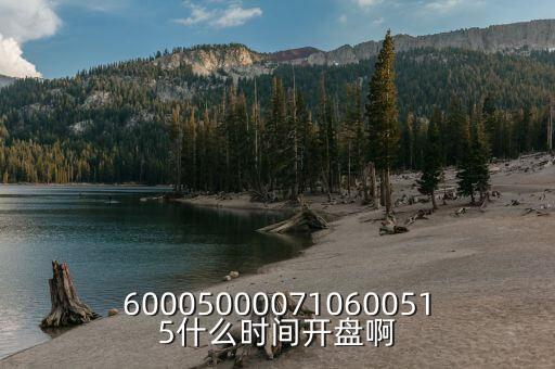 600050000710600515什么時間開盤啊