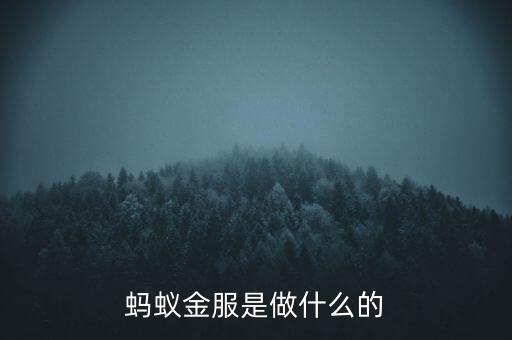 螞蟻金服是做什么的