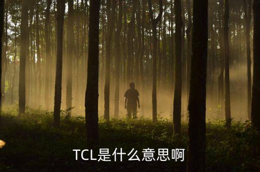 TCL是什么意思啊