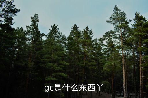 gc是什么東西丫