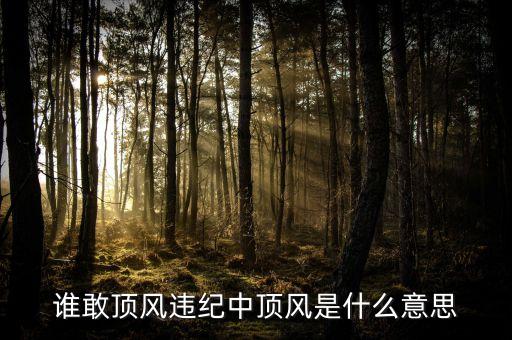 什么是頂風(fēng)違紀(jì)，為啥在天子腳下敢頂風(fēng)違紀(jì)