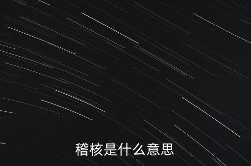 稽核是什么意思