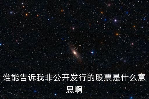 誰能告訴我非公開發(fā)行的股票是什么意思啊