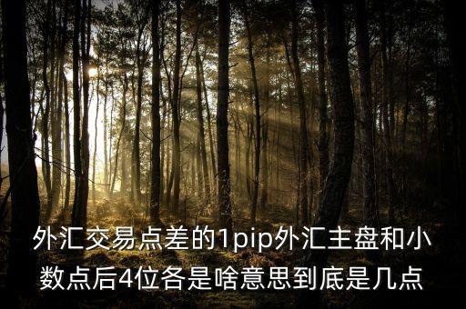 金融pip是什么意思，獲利點(diǎn)數(shù)pip在外匯市場是指什么意思是百分之多少嗎謝謝