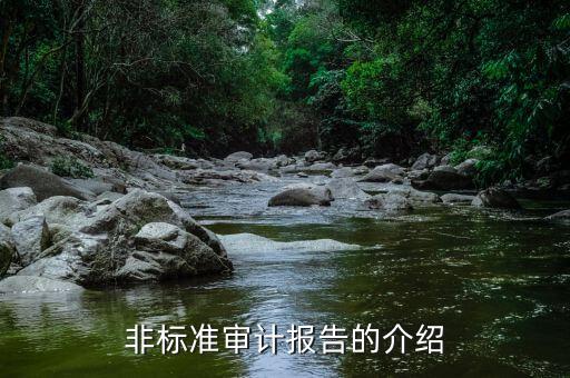 非標(biāo)準(zhǔn)審計報告的介紹