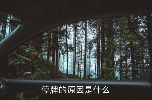 停牌的原因是什么