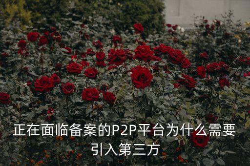 正在面臨備案的P2P平臺為什么需要引入第三方