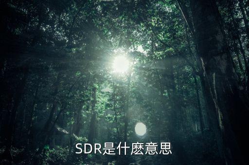 sdr是什么組織，SDR是干嘛的