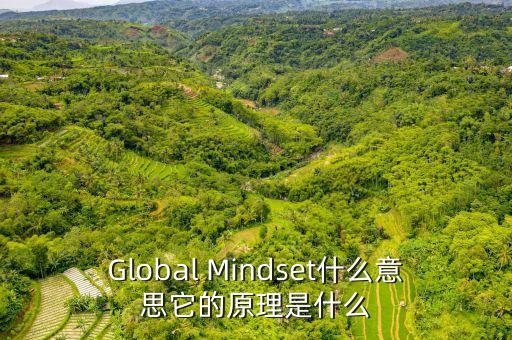 Global Mindset什么意思它的原理是什么