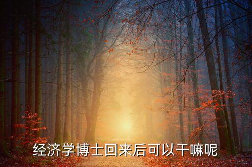 經(jīng)濟學博士回來后可以干嘛呢