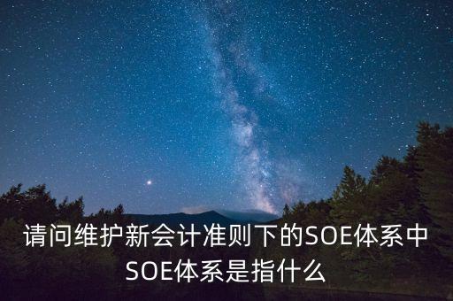 銀行中SOE為什么，有誰知道SOE是什么嗎