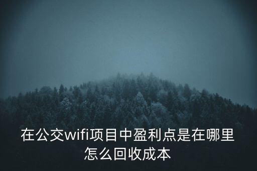 公交車的wifi靠什么掙錢，在公交wifi項目中盈利點是在哪里怎么回收成本