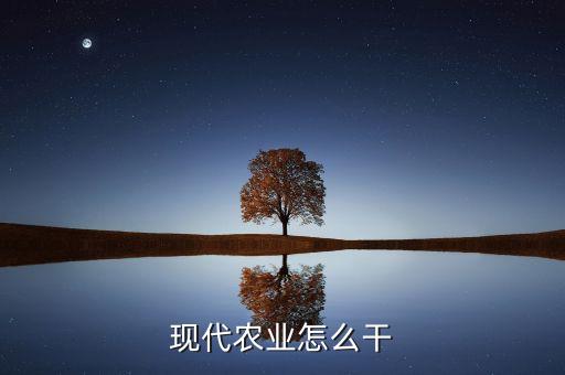 隆平現(xiàn)代農(nóng)業(yè)做什么，隆平高科和登海種業(yè)主營(yíng)業(yè)務(wù)有什么區(qū)別