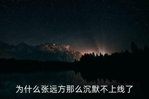 為什么張遠(yuǎn)方那么沉默不上線了