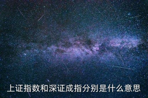 上證指數(shù)和深證成指分別是什么意思