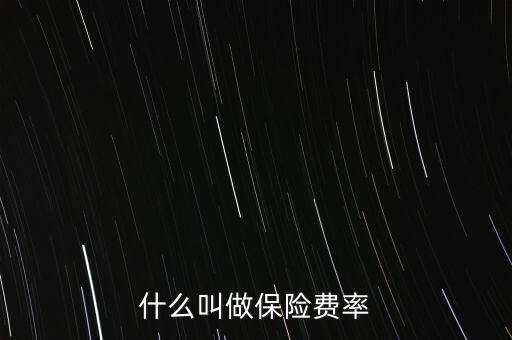 什么是擔(dān)保費(fèi)率，什么叫做保險(xiǎn)費(fèi)率