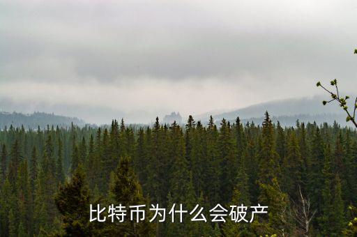 比特幣為什么破產(chǎn)，比特幣為什么會破產(chǎn)