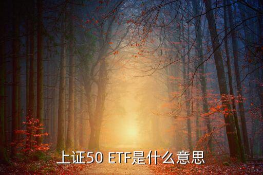 上證50 ETF是什么意思