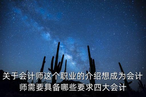 四大會計師事務所要什么專業(yè)，我想去四大會計事務所請問需要具備哪些要求上海一本學校非