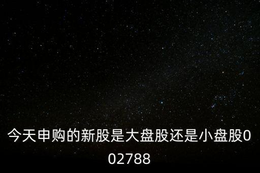 今天申購的新股是大盤股還是小盤股002788