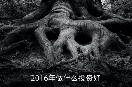 2016應(yīng)該投資什么，適合2016年投資創(chuàng)業(yè)的項目有哪些