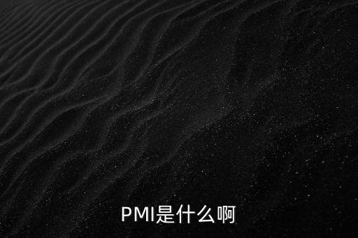 PMI是什么啊