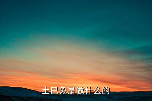 土巴兔是什么模式，為什么土巴兔的商業(yè)模式如此令人著迷