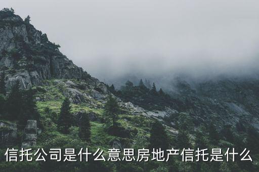 信托公司是什么意思房地產(chǎn)信托是什么