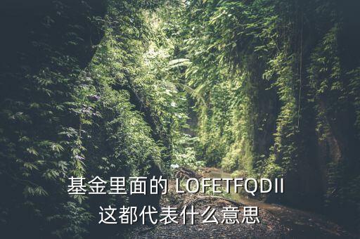 基金里面的 LOFETFQDII 這都代表什么意思