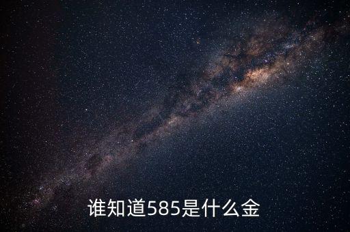 誰知道585是什么金