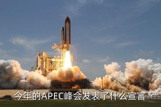 今年的APEC峰會(huì)發(fā)表了什么宣言