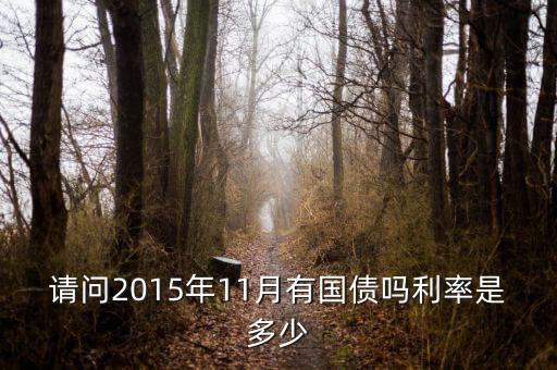 201511月發(fā)行什么國債，請問2015年11月有國債嗎利率是多少