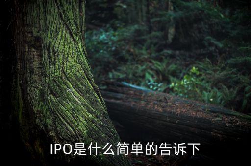 IPO是什么簡單的告訴下