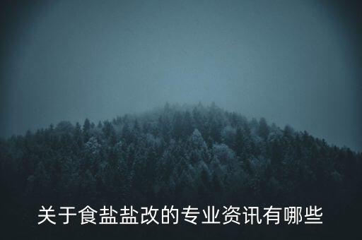 關于食鹽鹽改的專業(yè)資訊有哪些