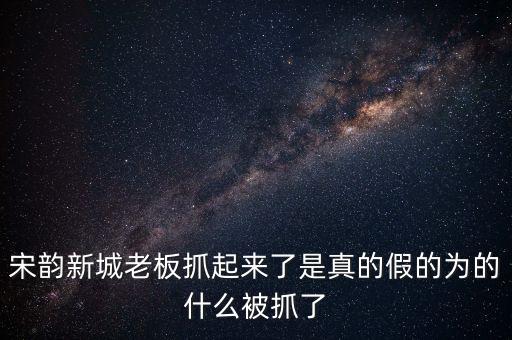 宋韻新城老板抓起來了是真的假的為的什么被抓了