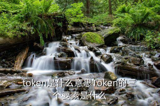 平安付token是什么意思，token是什么意思