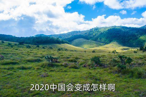 2020中國(guó)會(huì)變成怎樣啊