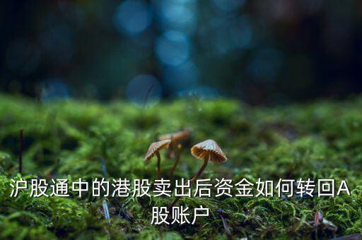 滬股通中的港股賣出后資金如何轉(zhuǎn)回A股賬戶