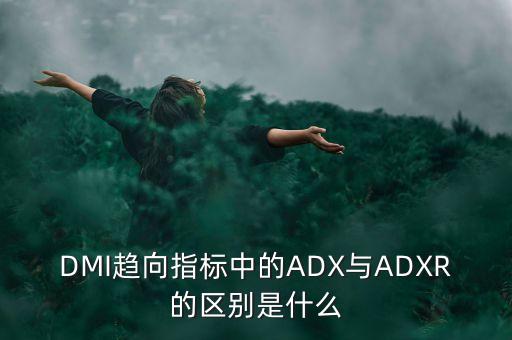 DMI趨向指標(biāo)中的ADX與ADXR的區(qū)別是什么