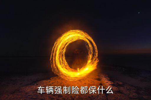 車輛強(qiáng)制險(xiǎn)都保什么