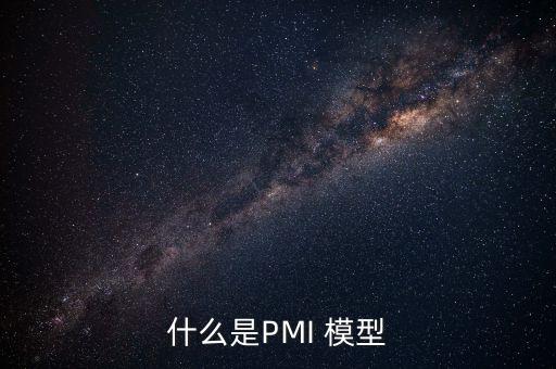 什么是PMI 模型