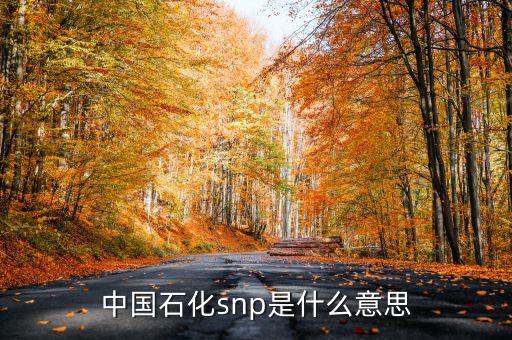 中國石化snp是什么意思